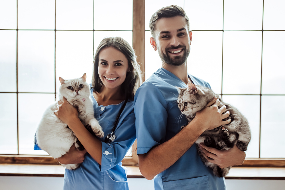 How The VET Recruiter Website Connects Professionals with Opportunities Across America