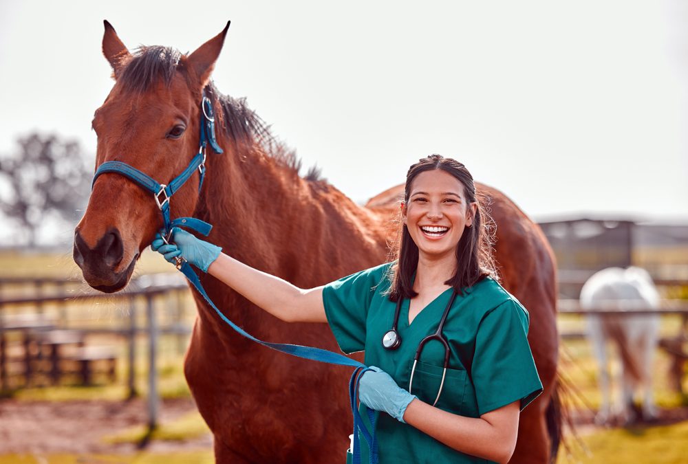 Animal Health Careers: The Role of Agency Recruiters and Search Consultants