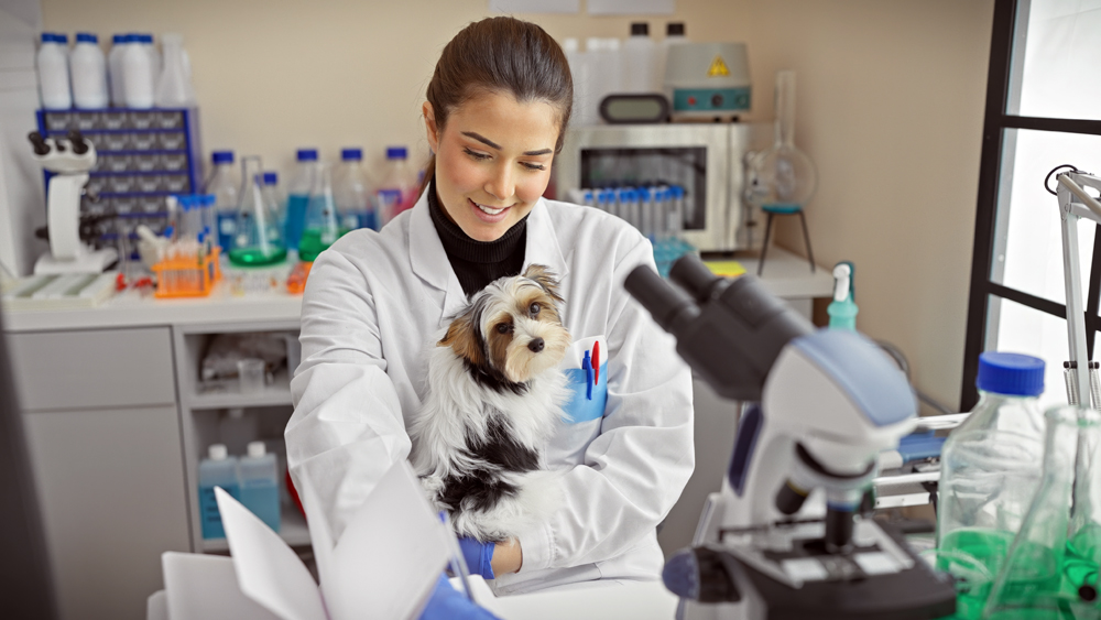 Animal Health Job Openings and How Recruiters Can Help You Find Them