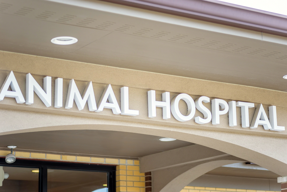 Animal Hospital Recruitment: Meeting the Growing Staffing Demands of Animal Hospitals