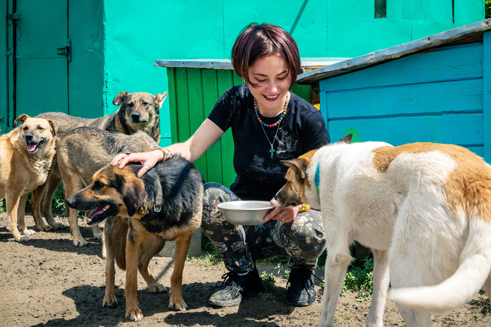 How Animal Shelter Recruitment Shapes Community Impact