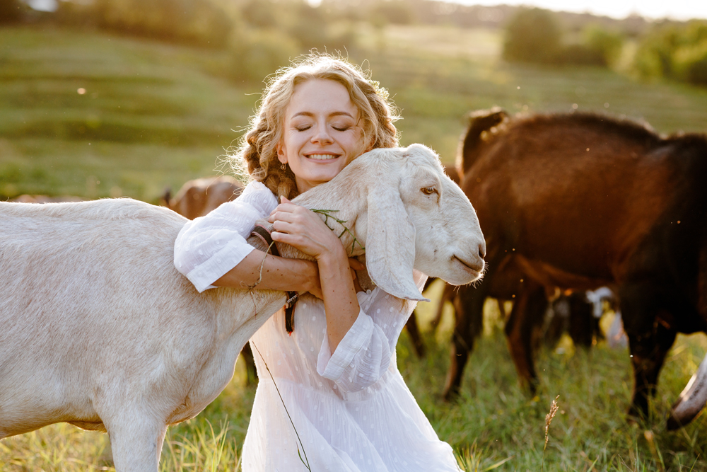 The Future of Animal Welfare Recruitment in a Changing Industry