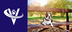 Associate Veterinarian – Monmouth County, NJ – #9622
