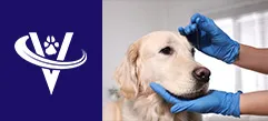Lead Veterinarian, Spay & Neuter Training Program – # 9692