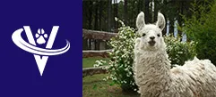 Associate Veterinarian – Montgomery County, KS – #9722