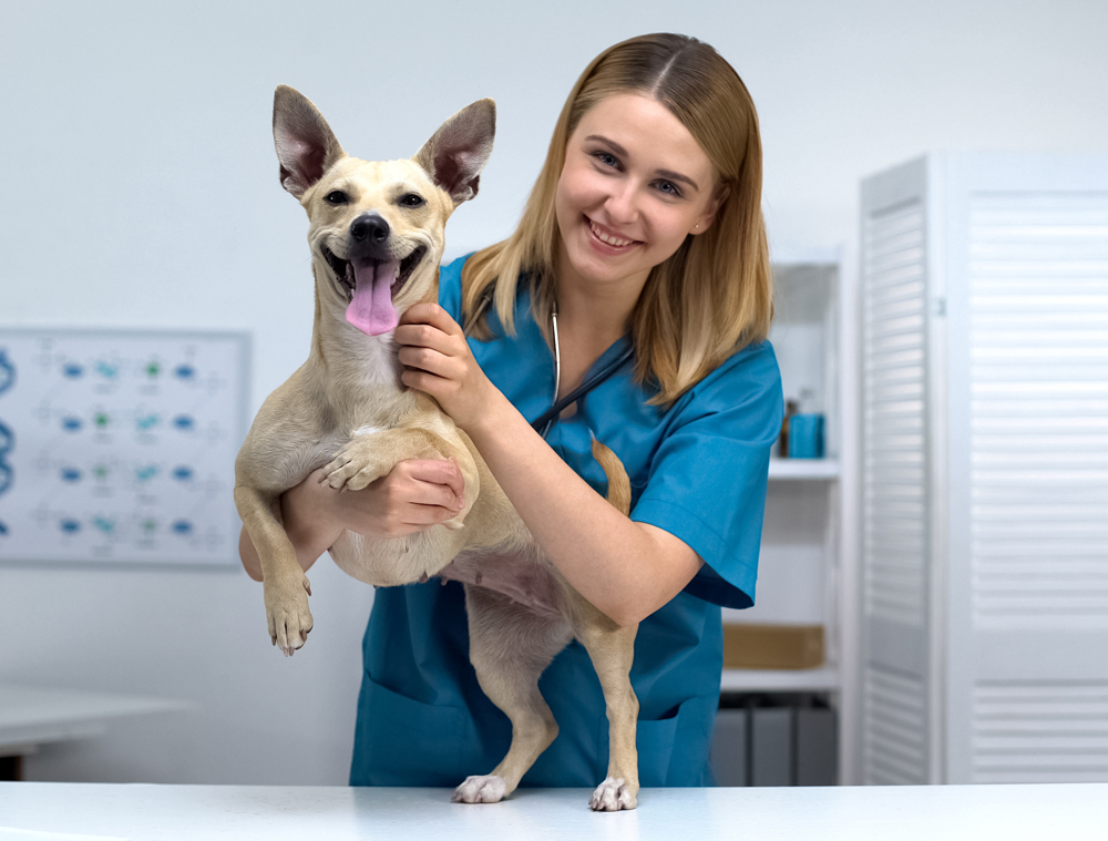 Have You Benchmarked Your Worth as a Veterinary Professional?