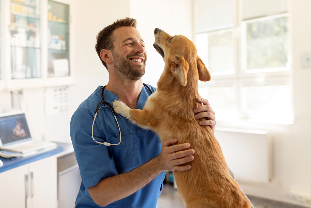 The Best Way to Hire a Veterinarian: Use The VET Recruiter