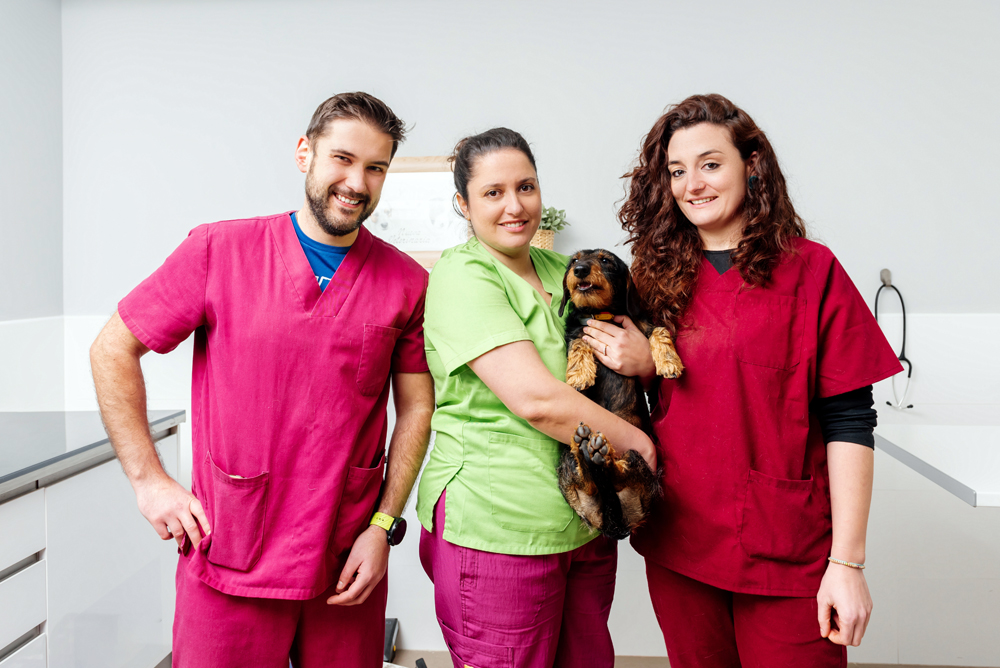 Why The VET Recruiter Website Is a Better Way to Find Veterinary and Animal Health Career Opportunities