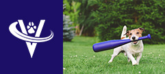 Veterinarian Medical Director – South Bend, IN – #9727