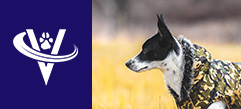 Associate Veterinarian – Oklahoma City, OK – #9724