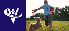 Part-Time Associate Veterinarian – Des Moines, IA – #9906
