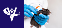 Associate Veterinarian – Springfield, OR – #9845