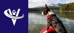 Associate Veterinarian – Lorain, OH – #9923