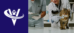 Owner / Medical Director – Fairfield County, CT – #9937