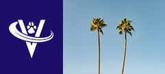 Associate Veterinarian – Torrance, CA – #9833