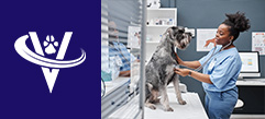 Associate Veterinarian – San Antonio, TX – #9775