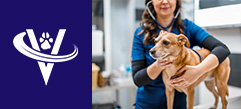 Veterinarian Internist – Nassau County, NY – #9883