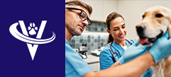Veterinarian DeNovo Partner – Dallas, TX – #9774