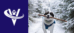 Associate Veterinarian – Lakewood, OH – #9938