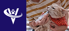 Associate Veterinarian – Chicago Suburbs, IL – #9862