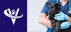 Veterinarian Hospitalist – Chico, CA – #9994