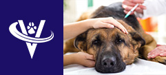 Urgent Care Veterinarian – Louisville Metro, KY – #10010