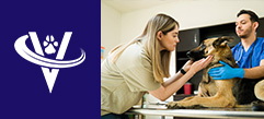 Veterinarian Medical Director – West Chester, OH – #9860