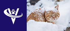 Associate Veterinarian – Erie, PA – #9738