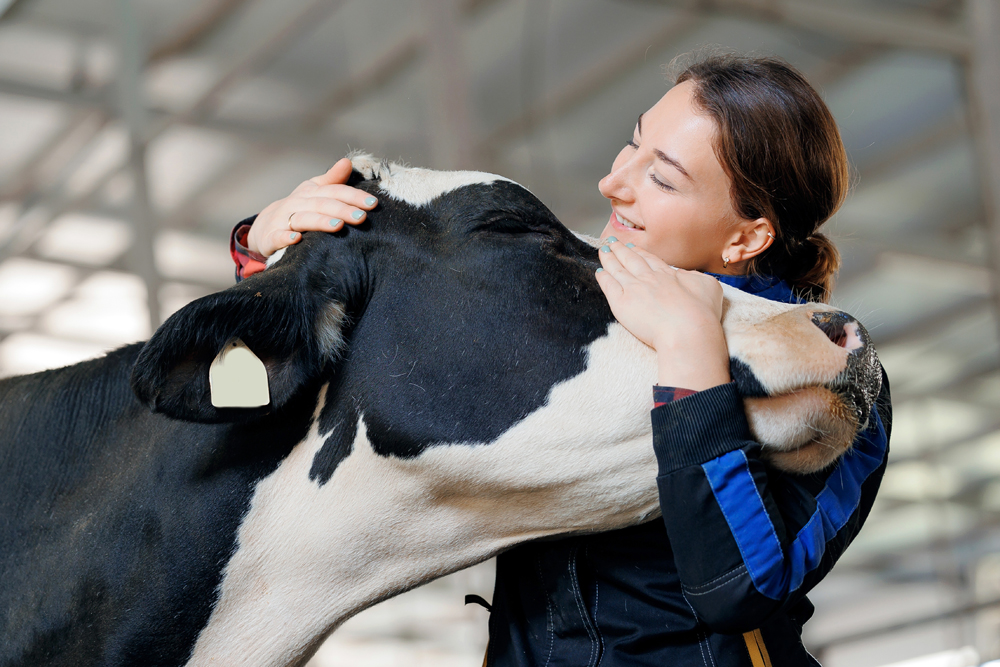 How The VET Recruiter Website Helps Professionals Build Meaningful Careers