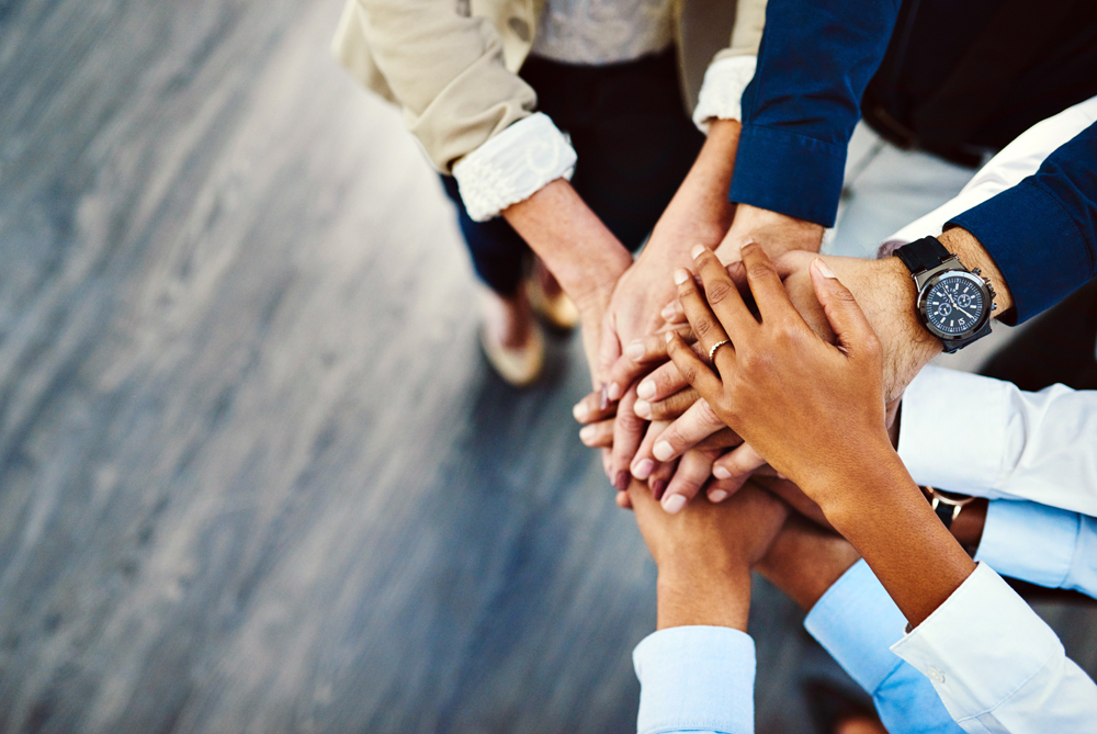 How the Right Veterinary Website Can Help Build Stronger Animal Health Teams