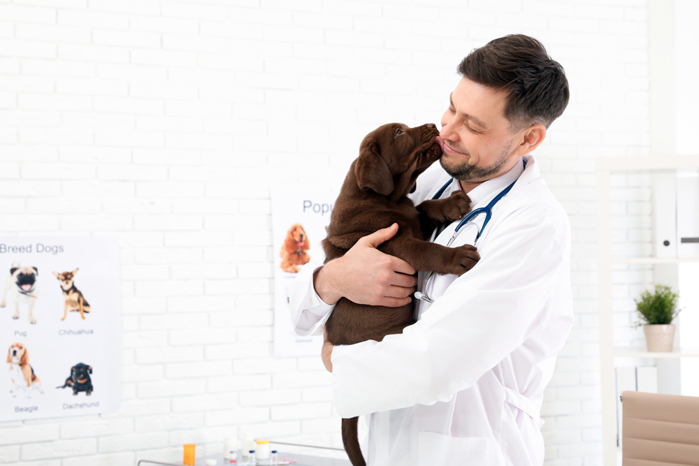 Canadian Veterinarian Recruitment: The VET Recruiter Search Firm