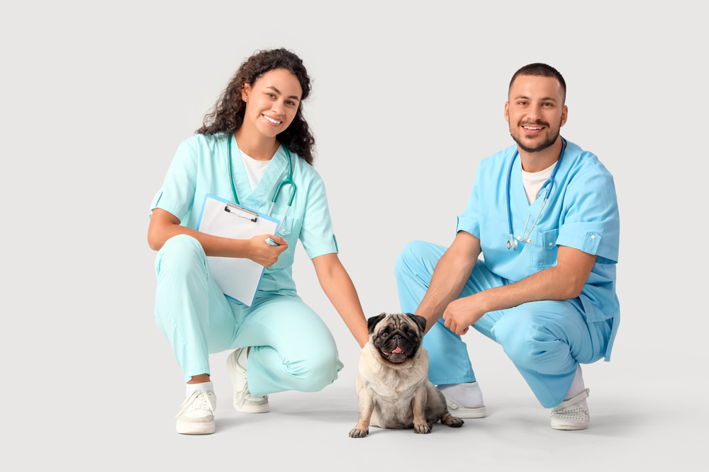 The VET Recruiter Website: Comprehensive Hiring and Career Services
