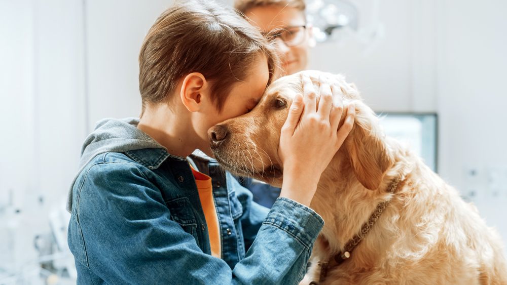 How to Choose the Right Veterinary Career Website for Hiring and Career Success
