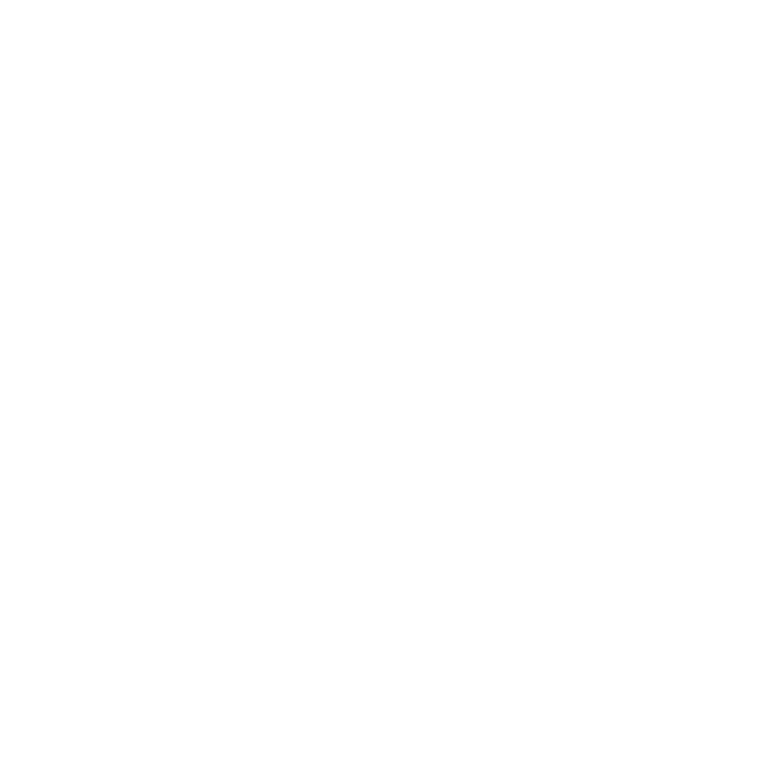 Compass White Icon