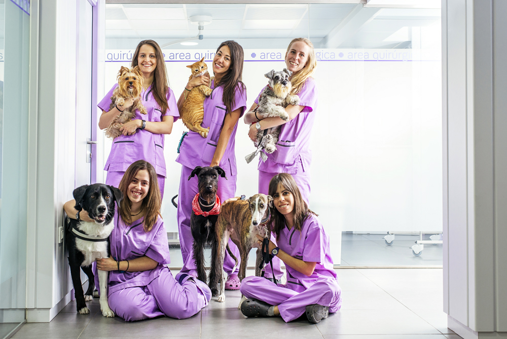 How The VET Recruiter Website Creates Value for Animal Health and Veterinary Professionals and Employers