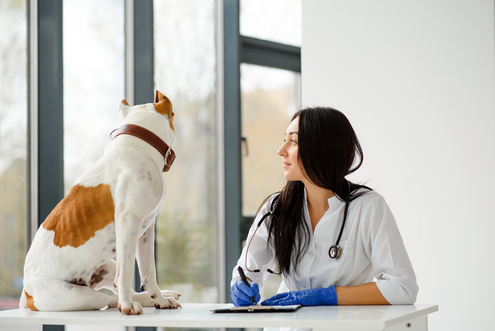 Why Easy Communication is Important on The VET Recruiter Website