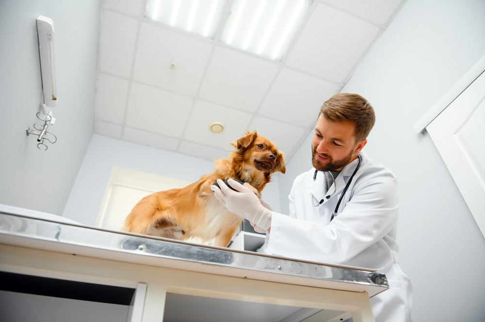 Why Exceptional Service is Central to The VET Recruiter Website