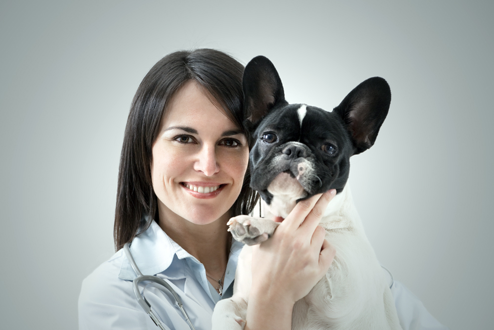 How The VET Recruiter Website Delivers Exceptional Value to Professionals and Employers