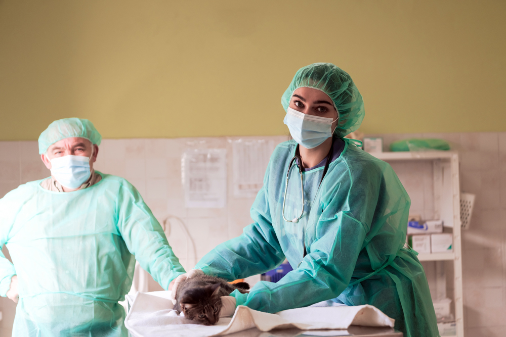 How The VET Recruiter Website Delivers Exceptional Service for Professionals and Employers