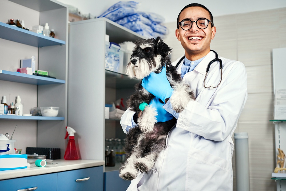 How The VET Recruiter Website Helps Professionals Discover Exciting Opportunities