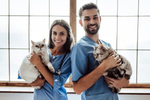 Experienced Veterinarian Job Opportunities