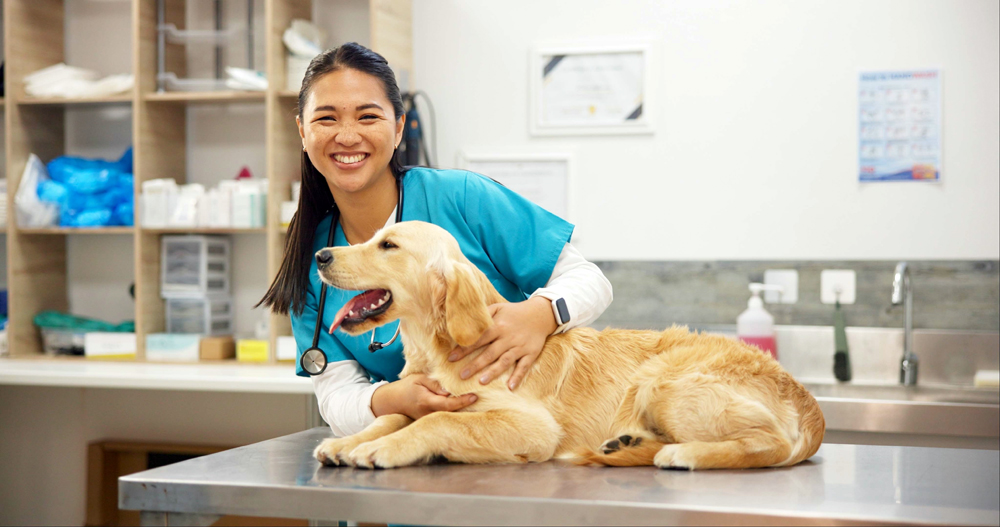 How The VET Recruiter Website Can Help Professionals Find Fulfilling Career Opportunities