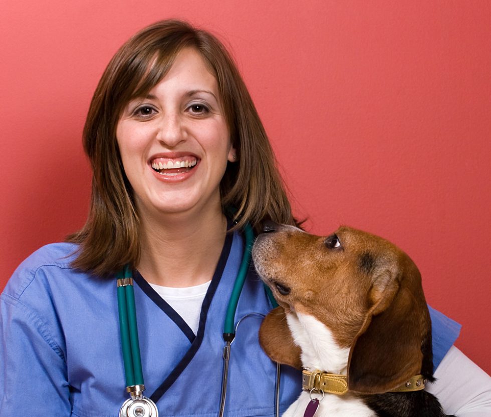 How to Grow Your Veterinary Career in 2024 The VET Recruiter
