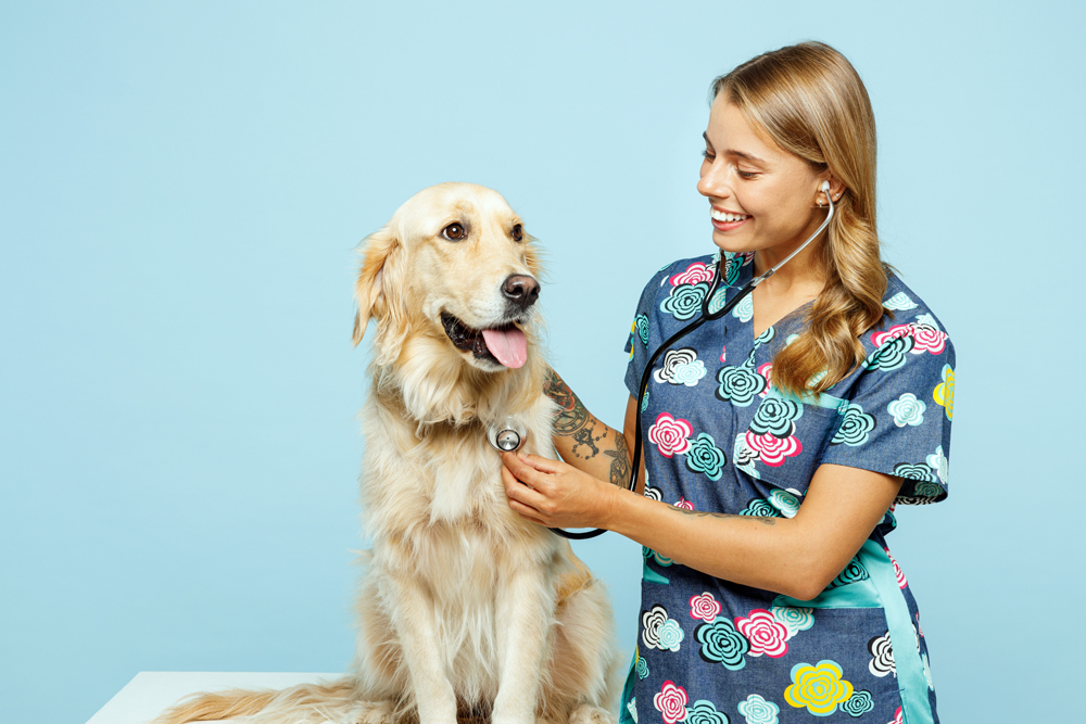 Why a High Volume of Opportunities on The VET Recruiter Website is Beneficial