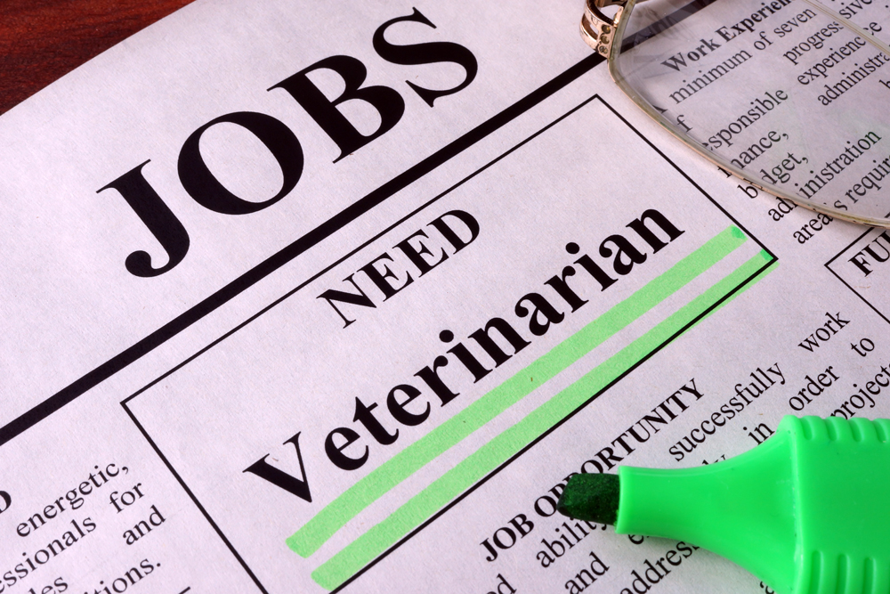 Does Your Veterinary Practice Need to Hire Veterinarians?