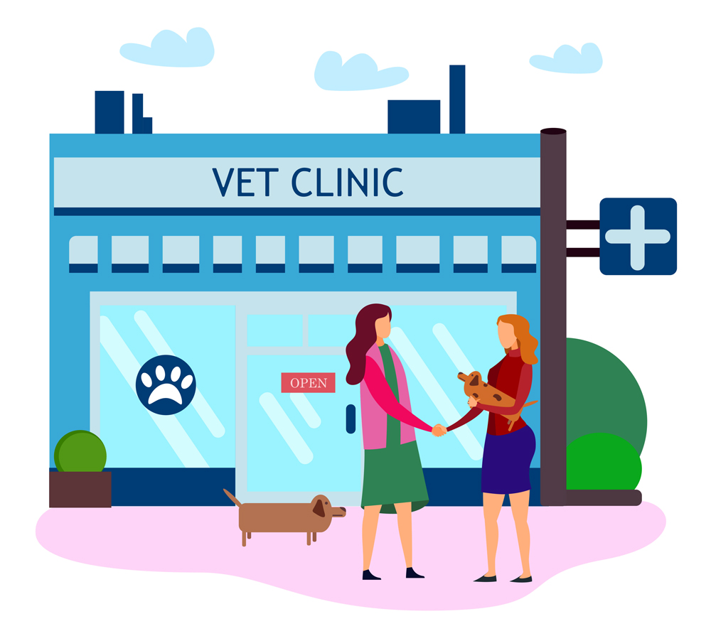How to Hire Veterinarians in 2023