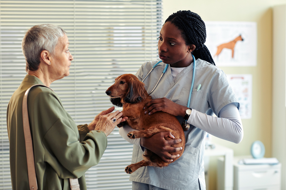 How The VET Recruiter Website Helps Animal Health Employers Hire Quickly