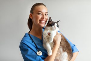 Hiring Veterinarians