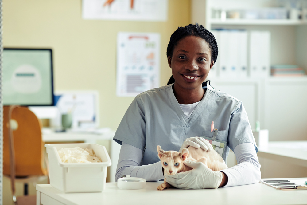 How to Hire a Good Veterinarian and the Role of Agency Recruiters