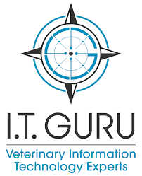 IT Guru Logo